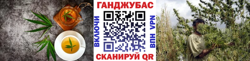 маркетплейс телеграм  Кирс  Еда ТГК марихуана 