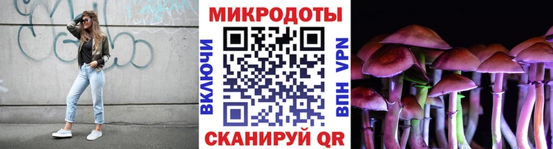 Псилоцибиновые грибы Cubensis  Кирс 